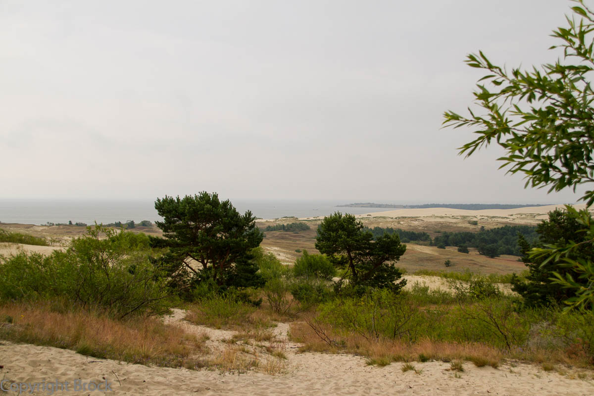 Kurische Nehrung Hohe Düne bei Nida (Nidden)