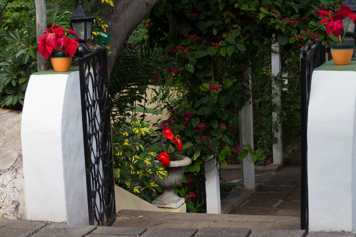 Puerto de la Cruz Orchideengarten