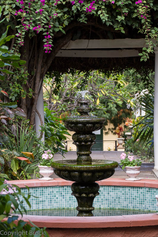 Puerto de la Cruz Orchideengarten