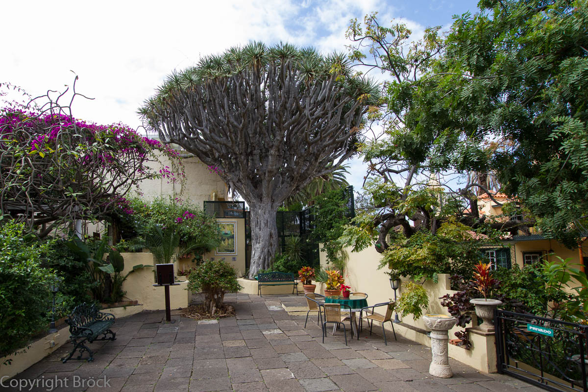 Puerto de la Cruz Orchideengarten