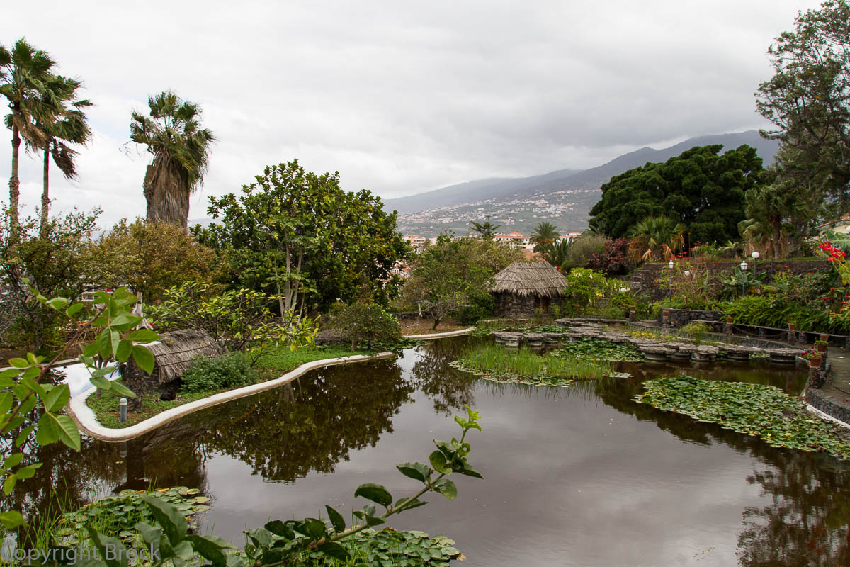 Puerto de la Cruz Risco Bello