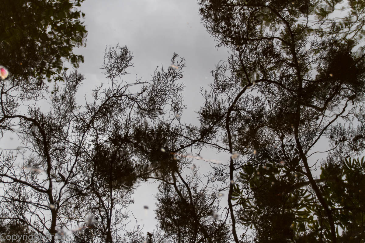 Puerto de la Cruz Risco Bello Spiegelung