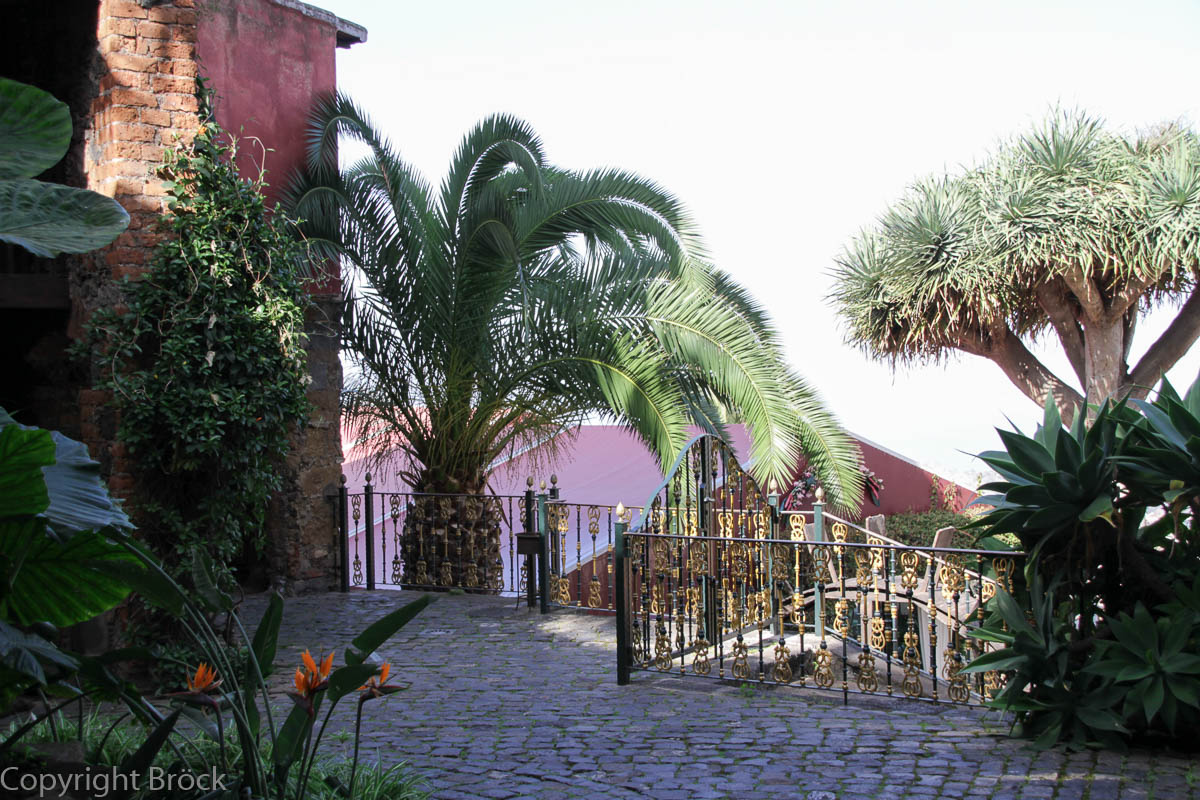 La Orotava