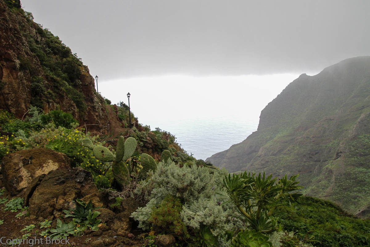 Im Anaga-Gebirge Chimada