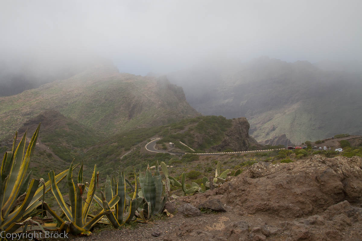 Teneriffa Im Tenogebirge