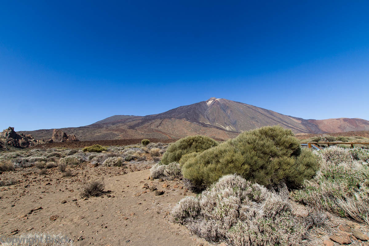 Teneriffa Teide Nationalpark Blick auf Pico del Teide, Pico Viejo und Los Roques de Garcia