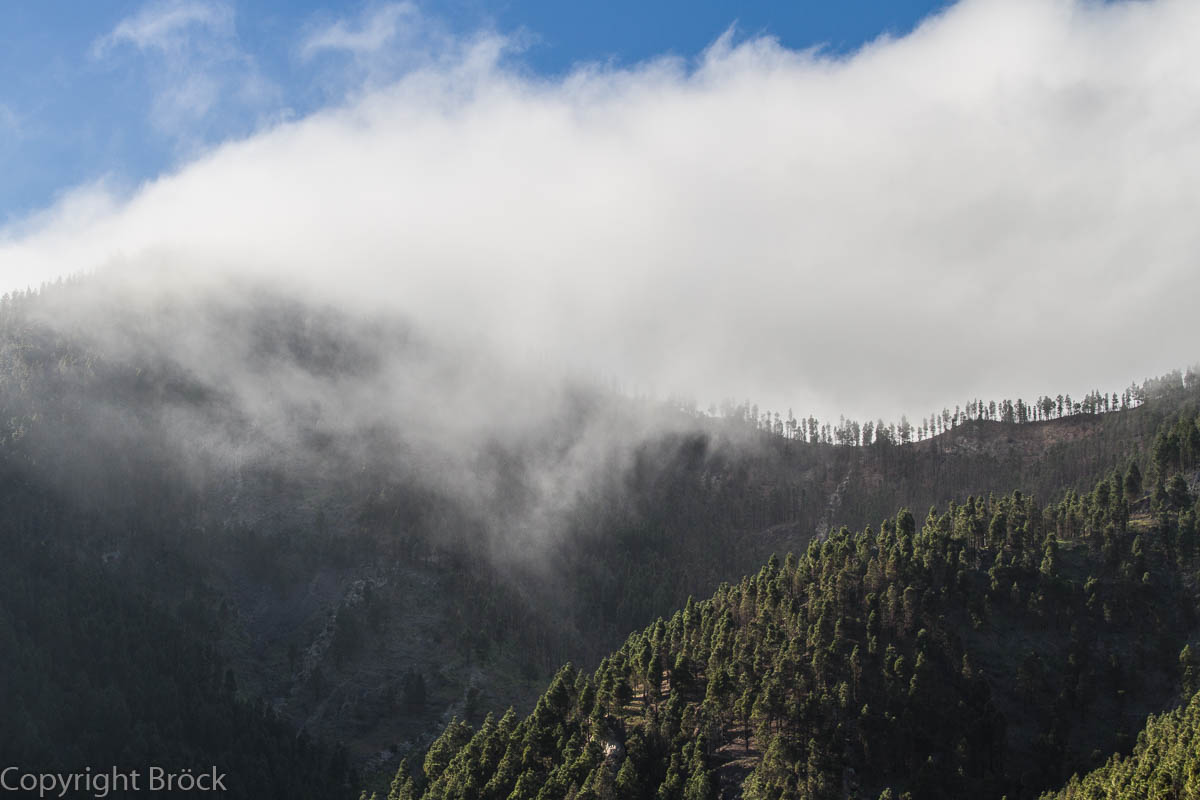Teneriffa Teide Nationalpark Auf der Rückfahrt Richtung Santiago del Teide
