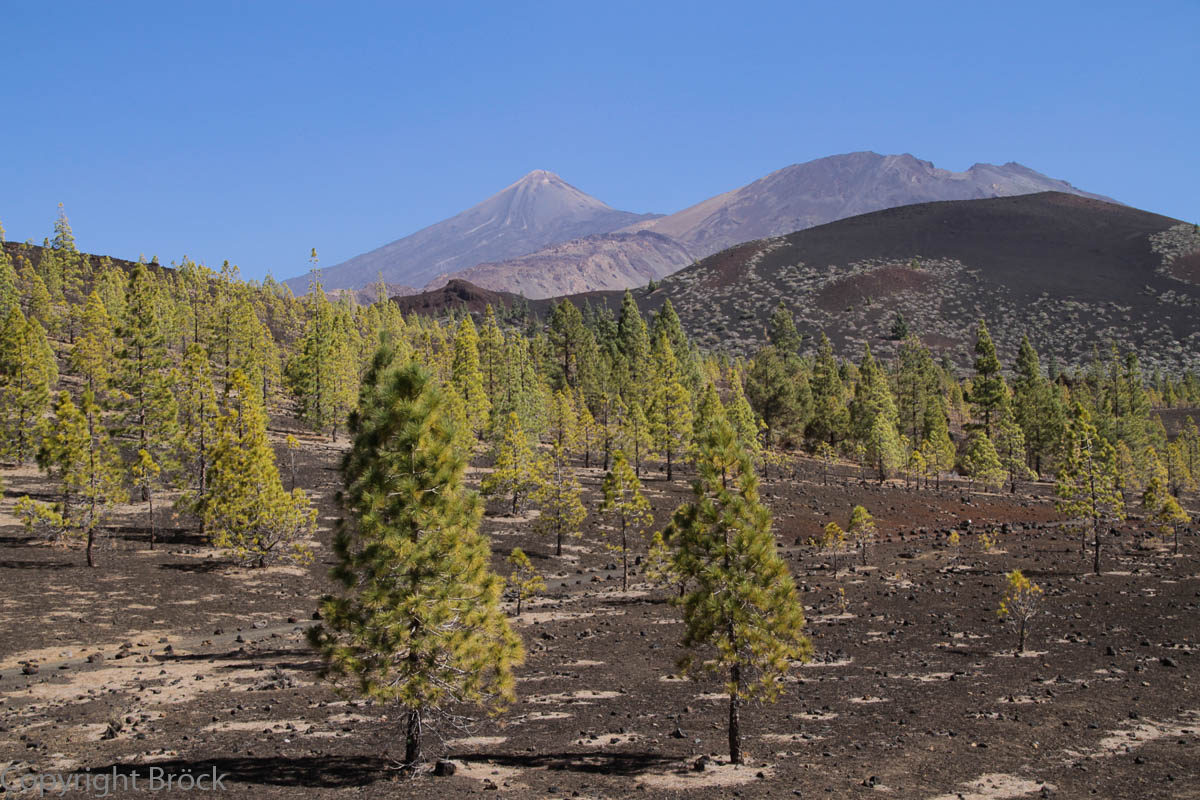 Teneriffa Teide Nationalpark Pico Viejo und Pico del Teide